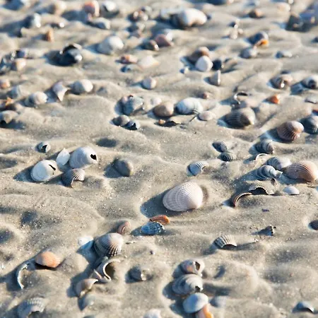 Inselhotel Cornelius 3* Norderney