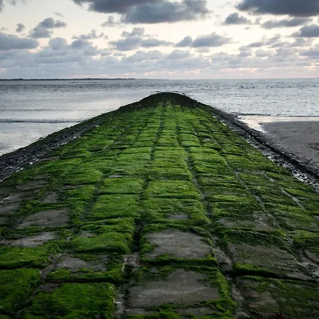Oda ve Kahvaltı Inselhotel Cornelius Norderney