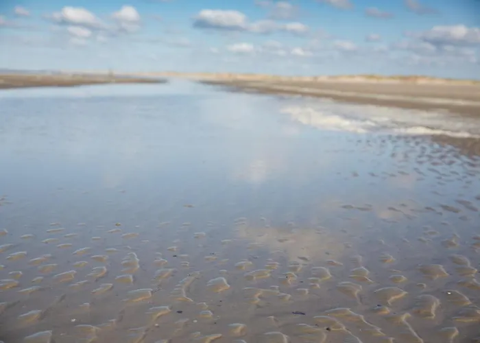 Frühstückspension Inselhotel Cornelius Norderney