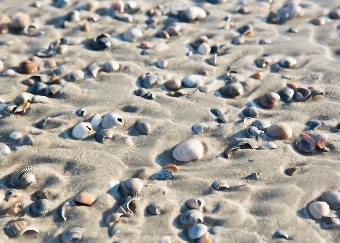 Inselhotel Cornelius 3* Norderney