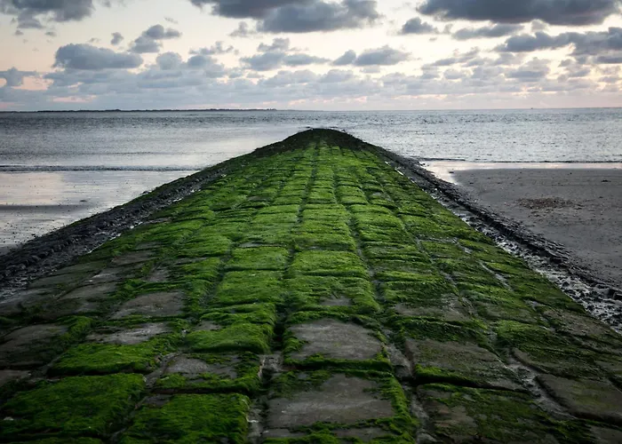 Frühstückspension Inselhotel Cornelius Norderney